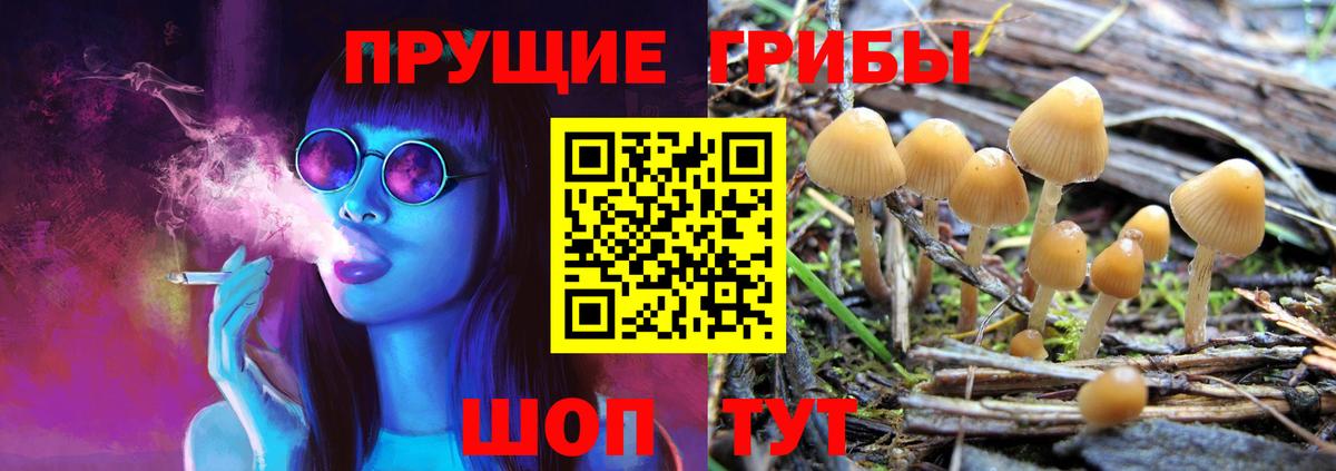 Кимовск  Галлюциногенные грибы мицелий  Вход с VPN 