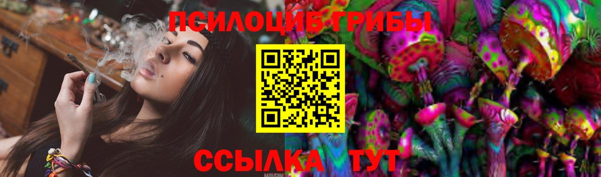 Псилоцибиновые грибы мухоморы Кимовск